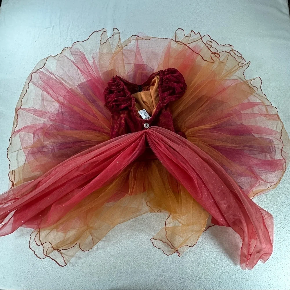 A Wish Come True Scherzo Ballerina Dance Dress Burgundy Orange 24317 Costume